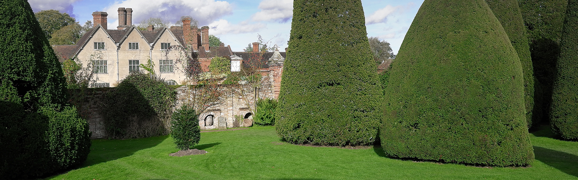 Tree & Hedge Work Thrapston, Northamptonshire